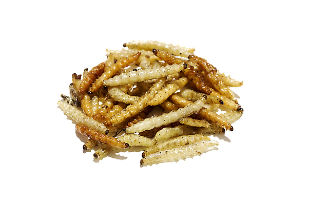 포토 JPG 해외이미지 스튜디오촬영 음식 곤충 태국 동양인 사람없음 튀김 닫기 자르기 흰배경 고립 정물화 해외202004 해외포토 동물 아시아 백그라운드 모션 실내 인종 흰색 그림 파일형식 이미지허브