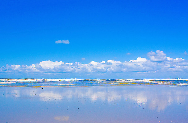 포토 JPG 해외이미지 구름 유럽 모래 파도 바다 섬 여행 자연 조류 하늘 바람 날씨 휴가 덴마크 풍경 사람없음 야외 물 여름 파란색 평화 맑음 모래언덕 네덜란드 북쪽 수평선 해외202004 해외포토 자연요소 동물 계절 나라 컬러 컨셉 북유럽 방향 언덕 생태계 파일형식 이미지허브