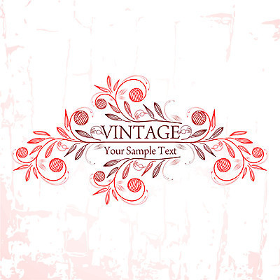 EPS 해외이미지 백그라운드 잎 라인일러스트 일러스트 타이포그라피 사람없음 빈티지 잎줄기 해외202004 해외일러스트 식물 문자 줄기 컨셉 파일형식 벡터 이미지허브