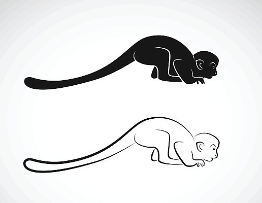 EPS 해외이미지 동물 디자인 실루엣 야생동물 백그라운드 일러스트 포유류 자연 털 동물원 앉기 그래픽 환경 검은색 미국 수확 흰색 원숭이 숲 작음 문신 심볼 오브젝트 그림 다람쥐 멸종 유인원 남쪽 고립 마스코트 아마존 해외202004 해외일러스트 컬러 북아메리카 농업 모션 촬영기법 설치류 크기 방향 생태계 파일형식 벡터 산업 아메리카 대륙 이미지허브