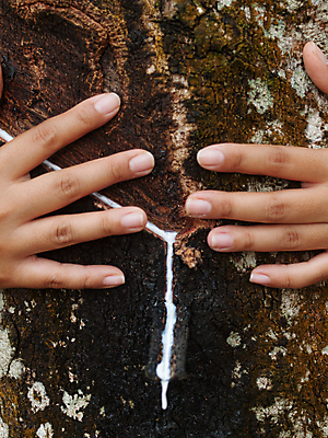 포토 JPG 해외이미지 주간 나무 손 포옹 야외 신체부위 수액 해외202004 해외포토 자연요소 식물 안기 사람 파일형식 이미지허브