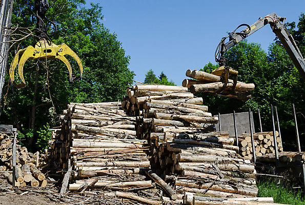 포토 JPG 해외이미지 나무 산업 비즈니스 모션 자연 하늘 노동자 사람없음 목재 파란색 쌓기 기계 장비 화물 잡기 업무 숲 장작 자르기 언덕 기중기 준비 통나무 리프트 짐차 무거움 트레일러 잡동사니 방앗간 로딩 리프팅 벌목 수목 집게발 특별함 해외202004 해외포토 식물 직업 컬러 컨셉 재료 자동차 운송업 작업 중장비 무게 생태계 파일형식 이미지허브