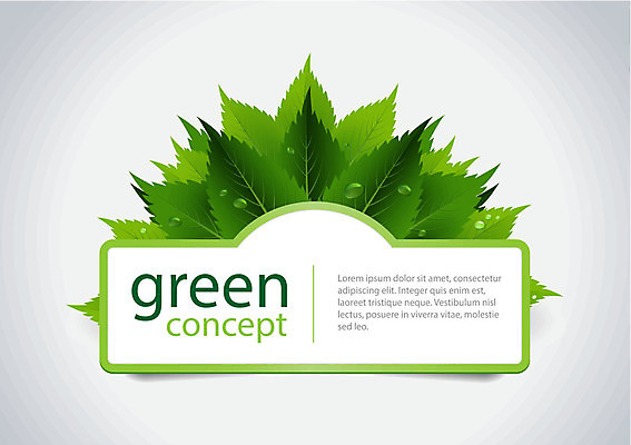 EPS 해외이미지 모양 나무 식물 디자인 계절 백그라운드 컨셉 잎 일러스트 자연 추상 아이디어 미술 풍경 그래픽 초록색 물 여름 빛 3D 라벨 환경 봄 에너지 흰색 신선 신용카드 보호 심볼 에코 내추럴 고립 생태학 스타일 해외202004 해외일러스트 자연요소 교육 컬러 무늬 문화예술 프레임 금융 디지털합성 생태계 파일형식 벡터 이미지허브