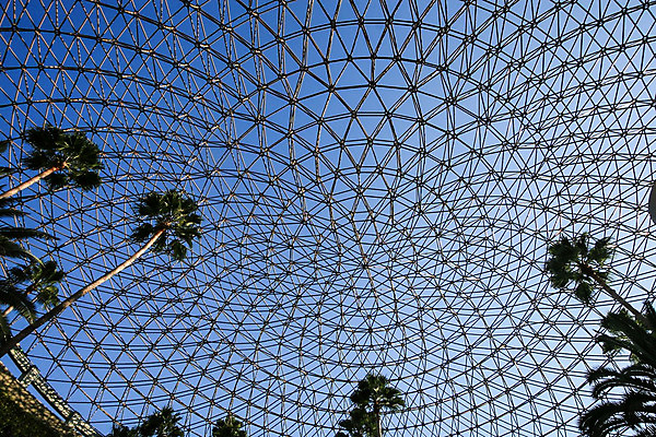 포토 JPG 해외이미지 모양 나무 디자인 선 패턴 건축양식 하늘 지붕 사람없음 파란색 야자수 금속 바 대칭 특별함 해외202004 해외포토 식물 건축 컬러 컨셉 무늬 재질 파일형식 이미지허브