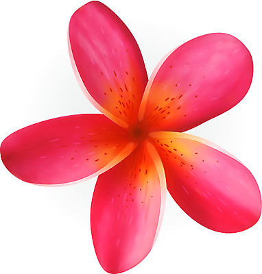 EPS 해외이미지 식물 디자인 꽃잎 꽃 길 분홍색 백그라운드 일러스트 자연 휴식 미술 빨간색 노란색 우주 정원 스파 벚꽃 흰색 심볼 하와이 향기 냄새 아로마 초대 부드러움 환영 말레이시아 고립 아열대 엘리먼트 이국적 하와이인 알로하 해외202004 해외일러스트 외국인 아시아 컬러 컨셉 문화예술 미국 인사 감각 생태계 파일형식 벡터 이미지허브