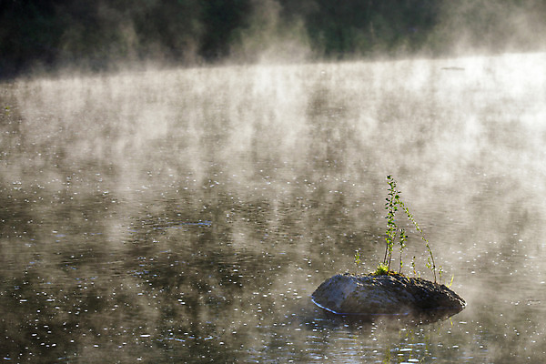 포토 JPG 해외이미지 나무 식물 계절 실루엣 유럽 호수 백그라운드 자연 아침 풍경 사람없음 야외 초록색 물 여름 빛 강 햇빛 일출 환경 침묵 봄 새벽 안개 가을 바위 시골 숲 속도 내추럴 뿌연 우크라이나 해외202004 해외포토 주간 자연요소 나라 컬러 날씨 촬영기법 태양 노을 소리 돌_바위 생태계 파일형식 이미지허브