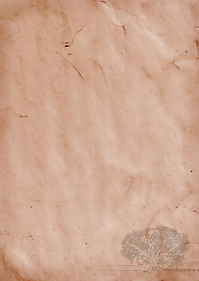 포토 JPG 해외이미지 나무 종이 백그라운드 표면 날씨 왕관 프레임 사람없음 갈색 공백 손상 수확 골동품 얼룩 편지 부식 질감 문서 복고 시트 세피아 옛날 중고 해외202004 해외포토 식물 컬러 컨셉 농업 촬영기법 파일형식 이미지허브