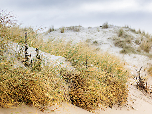 포토 JPG 해외이미지 구름 유럽 모래 바다 섬 여행 자연 하늘 휴가 휴식 국립공원 풍경 사람없음 야외 초록색 물 환경 하이킹 황무지 모래언덕 생태학 해외202004 해외포토 자연요소 공원 교육 나라 컬러 컨셉 레저 언덕 생태계 파일형식 이미지허브