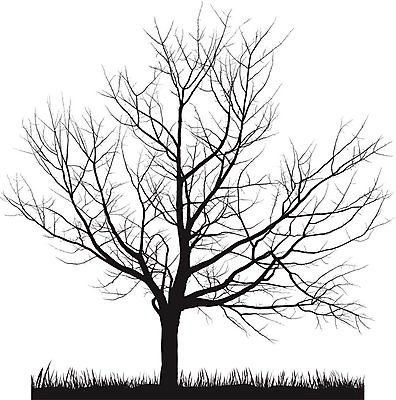 EPS 해외이미지 나무 계절 잎 겨울 일러스트 자연 하늘 날씨 풍경 목재 초록색 환경 추위 성장 흰색 나뭇가지 시골 시간 개화 4 변화 고독 연도 관목 싱글 서리 해외202004 해외일러스트 식물 꽃 감정 컬러 컨셉 재료 숫자 생태계 파일형식 벡터 이미지허브