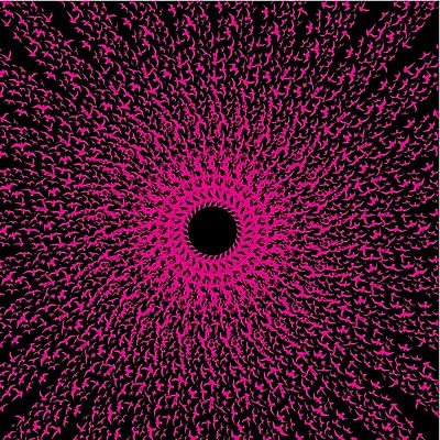 EPS 해외이미지 모양 동물 계절 실루엣 야생동물 날개 일러스트 가족 자연 갈매기 조류 하늘 휴가 휴식 종류 그림자 야외 여름 세트 자유 그리기 그룹 공작 숲 왜가리 문신 심볼 깃털 비둘기 앵무새 윤곽 독수리 철사 까마귀 해외202004 해외일러스트 컨셉 관계 모션 촬영기법 생태계 파일형식 벡터 이미지허브