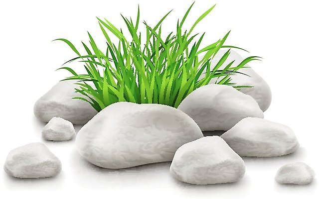 EPS 해외이미지 식물 디자인 백그라운드 꽃무늬 일러스트 자연 미술 풍경 잔디 초록색 환경 정원 회색 성장 바위 흰색 오브젝트 생태계 원예 내추럴 고립 땅바닥 생태학 엘리먼트 해외202004 해외일러스트 교육 꽃 컬러 무늬 문화예술 바닥 취미 돌_바위 파일형식 벡터 이미지허브