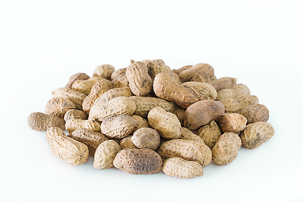 포토 JPG 해외이미지 식물 음식 백그라운드 과일 재료 자연 건조 건강 씨앗 사람없음 갈색 쌓기 견과류 껍질 흰색 그룹 닫기 맛 굽기 먹기 오브젝트 유기농 알맹이 날것 땅콩 내추럴 고립 절임 해외202004 해외포토 웰빙 컬러 컨셉 모션 구이 생태계 파일형식 이미지허브