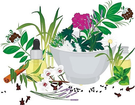 EPS 해외이미지 식물 디자인 꽃 잎 꽃무늬 일러스트 건강 씨앗 치료 초록색 세트 약 라벨 화장품 상품 약국 수집 허브 향신료 그림 유기농 향기 아로마 침엽수 성분 아로마테라피 내추럴 보충 바이오 유칼립투스 제라늄 채식주의자 해외202004 해외일러스트 나무 웰빙 컬러 무늬 의학 프레임 뷰티 채식 냄새 테라피 향미료 파일형식 벡터 이미지허브