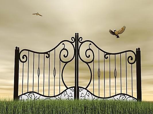 포토 JPG 해외이미지 동물 구름 백그라운드 밭 일러스트 자연 조류 하늘 동화 잉크 요정 풍경 사람없음 야외 그래픽 초록색 여름 빛 울타리 갈색 3D 디지털 정원 검은색 흰색 닫기 철 대문 만들기 장면 공상 천국 고딕 동물상 방법 옛날 환상 해외202004 해외포토 자연요소 계절 컬러 컨셉 농업 모션 담장 조형물 문 디지털합성 생태계 파일형식 이미지허브