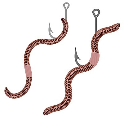 EPS 해외이미지 동물 지구 야생동물 분홍색 곤충 백그라운드 농업 신체 일러스트 자연 낚시 빨간색 갈색 젖음 흰색 잡기 고리 닫기 벌레 이슬 유혹 생물학 각도 먼지 올가미 미끼 내추럴 기어가기 고립 끈적임 해외202004 해외일러스트 교육 산업 컬러 컨셉 모션 레저 생태계 파일형식 벡터 이미지허브