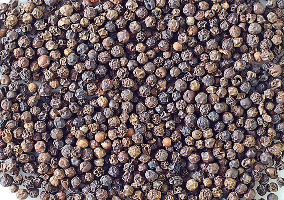 포토 JPG 해외이미지 스튜디오촬영 음식 백그라운드 패턴 재료 고추 요리 씨앗 사람없음 농작물 갈색 주방 검은색 원두 양념 조미료 거친 닫기 맛 낟알 향신료 질감 매움 후추 보충 해외202004 해외포토 식물 커피 컬러 컨셉 무늬 농업 채소 모션 실내 향미료 파일형식 이미지허브