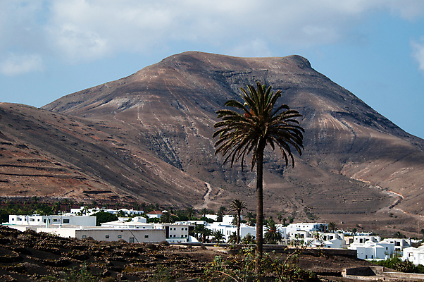 포토 JPG 해외이미지 나무 구름 도로 섬 여행 건축양식 아프리카 자연 휴가 선인장 주택 건조 손바닥 풍경 사람없음 건물 초록색 여름 여행객 마을 사막 흰색 시골 스페인 작음 땅 그림 화산 용암 타운 산악지대 세련 해외202004 해외포토 자연요소 식물 건축물 손 계절 건축 유럽 나라 길 컬러 교통시설 산 사람 도시 크기 생태계 파일형식 이미지허브
