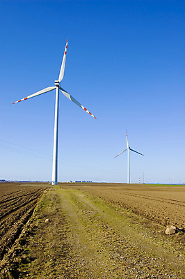 포토 JPG 해외이미지 구름 산업 밭 날개 자연 하늘 바람 서기 안전 풍경 사람없음 여름 태양 농장 환경 탑 힘 재활용 풍차 발전기 에너지 행운 서비스 에코 생태계 프로펠러 철사 연료 세대 방앗간 생태학 전압 해외202004 해외포토 자연요소 건축물 계절 교육 컨셉 농업 모션 날씨 발전소 친환경 파일형식 이미지허브