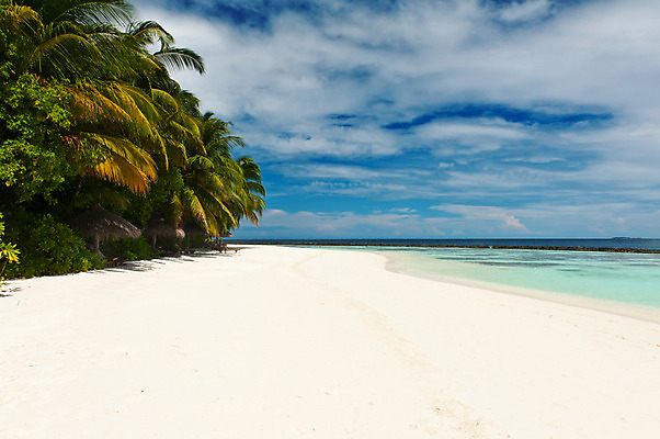 포토 JPG 해외이미지 나무 모래 파도 바다 섬 여행 백그라운드 우산 자연 하늘 휴가 휴식 손바닥 풍경 사람없음 물 여름 파란색 햇빛 태양 침묵 만 휴양지 양산 태평양 코코넛 석호 몰디브 강렬 이국적 터키석 파라다이스 해외202004 해외포토 자연요소 식물 손 계절 아시아 컬러 컨셉 과일 소리 장소 보석 생태계 파일형식 이미지허브