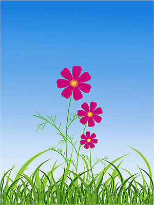 EPS 해외이미지 식물 꽃잎 꽃 잎 꽃무늬 일러스트 자연 하늘 봄 벚꽃 코스모스 해외202004 해외일러스트 계절 무늬 생태계 파일형식 벡터 이미지허브