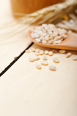 포토 JPG 해외이미지 근접촬영 사람없음 아웃포커스 농작물 낟알 보리 보리이삭 해외202004 해외포토 뷰포인트 농업 곡류 촬영기법 이삭 파일형식 이미지허브