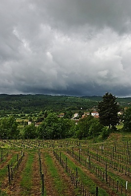 포토 JPG 해외이미지 나무 구름 사람없음 마을 와인 계곡 이탈리아 토스카나 해외202004 해외포토 자연요소 식물 유럽 주류 파일형식 이미지허브