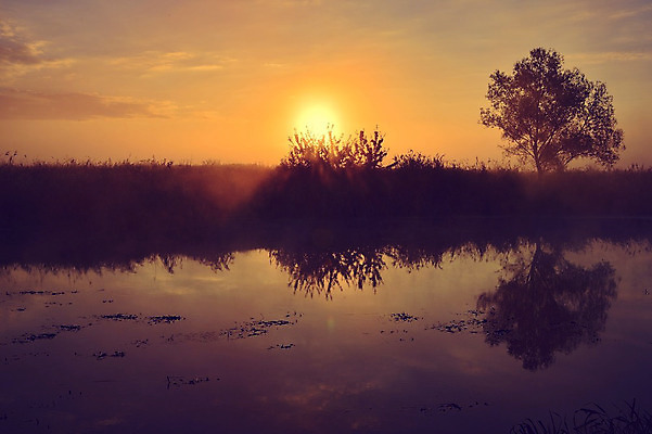 포토 JPG 해외이미지 나무 식물 실루엣 백그라운드 오렌지 자연 하늘 아침 갈대 풍경 사람없음 목재 빨간색 물 여름 빛 강 컬러풀 태양 반사 노란색 일출 검은색 어둠 황혼 일몰 봄 새벽 꿈 안개 광선 황금 저녁 장면 공상 마법 스카이라인 후광 생태학 환상 수평선 해외202004 해외포토 주간 자연요소 계절 교육 컬러 컨셉 과일 재료 날씨 촬영기법 노을 야간 생태계 파일형식 이미지허브