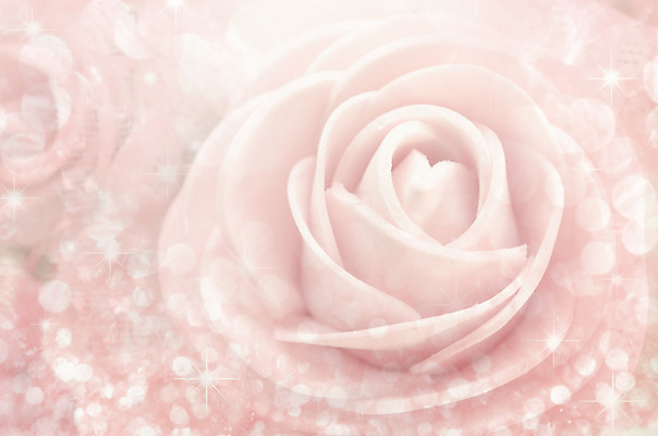 포토 JPG 해외이미지 1 디자인 꽃잎 꽃 별 꽃다발 백그라운드 꽃무늬 자연 선물 사람없음 가로 장미 회색 수확 벚꽃 신선 오픈 신용카드 센터 싱글 복고 보케 냄새 엽서 아로마 슛 부드러움 세피아 특별함 스타일 해외202004 해외포토 자연요소 식물 컬러 컨셉 무늬 농업 촬영기법 금융 감각 편지 생태계 파일형식 이미지허브