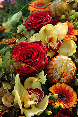 포토 JPG 해외이미지 식물 꽃잎 꽃 꽃다발 컨셉 오렌지 자연 사람없음 빨간색 초록색 컬러풀 장미 봄 난초 배열 꽃집 질감 거베라 해외202004 해외포토 계절 컬러 과일 상점 생태계 파일형식 이미지허브