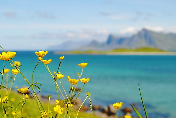 포토 JPG 해외이미지 사람없음 해외202004 해외포토 파일형식 이미지허브