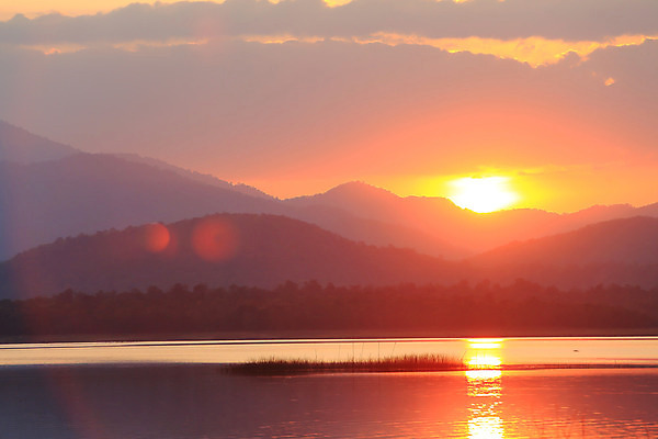 포토 JPG 해외이미지 나무 식물 동물 구름 계절 공원 호수 백그라운드 자연 하늘 아침 오리 갈대 서기 풍경 사람없음 야외 물 여름 파란색 빛 강 컬러풀 태양 반사 평화 일출 수영 일몰 봄 새벽 추위 도시 저녁 장면 고립 넘어짐 해외202004 해외포토 주간 자연요소 공공시설 컬러 컨셉 모션 조류 노을 수상스포츠 야간 생태계 파일형식 이미지허브