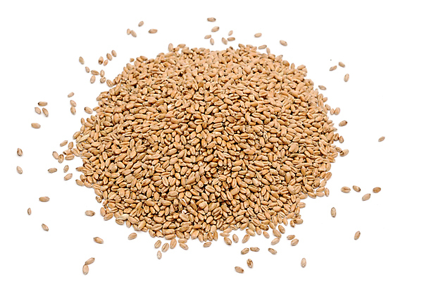 포토 JPG 해외이미지 음식 빵 백그라운드 농업 다이어트 재료 자연 건강 식이요법 요리 씨앗 사람없음 농장 갈색 쌓기 식사 수확 성장 시골 낟알 시리얼 밀 다발 굽기 먹기 유기농 날것 흙더미 덩어리 내추럴 고립 밭일 채식주의자 해외202004 해외포토 식물 웰빙 산업 컬러 모션 곡류 흙 구이 생태계 채식 파일형식 더미 이미지허브