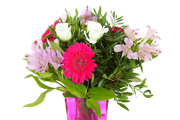 포토 JPG 해외이미지 꽃 분홍색 꽃다발 자연 선물 사람없음 장미 꽃병 보라색 하트 고립 해외202004 해외포토 모양 식물 컬러 생태계 파일형식 이미지허브