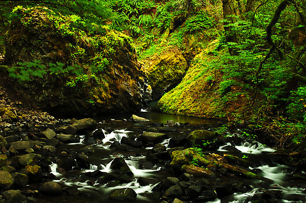 포토 JPG 해외이미지 식물 자연 사람없음 초록색 물 강 흐름 개울 서핑 숲 보석 언덕 암초 천국 느림 파라다이스 그리너리 해외202004 해외포토 자연요소 컬러 컨셉 수상스포츠 광석 생태계 파일형식 트랜드컬러 이미지허브