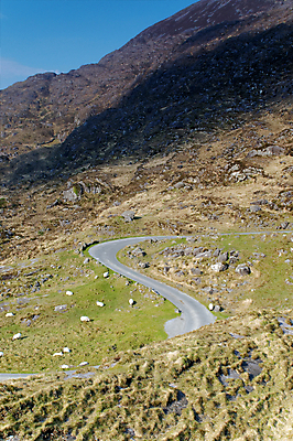 포토 JPG 해외이미지 유럽 도로 여행 곡선 자연 하늘 산 풍경 사람없음 야외 초록색 파란색 햇빛 환경 계곡 침묵 시골 양 틈 장면 아일랜드 해외202004 해외포토 나라 길 선 컬러 포유류 교통시설 태양 소리 생태계 파일형식 이미지허브