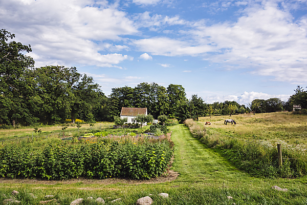 포토 JPG 해외이미지 나무 구름 외관 잎 밭 농업 건축양식 창문 자연 하늘 지붕 주택 덴마크 풍경 사람없음 야외 건물 빨간색 초록색 여름 파란색 울타리 농가 농장 문 정원 회색 흰색 시골 재산 작음 싱글 시골집 장면 고립 스칸디나비아 옛날 해외202004 해외포토 자연요소 식물 건축물 계절 건축 산업 컬러 북유럽 금융 담장 크기 생태계 파일형식 이미지허브