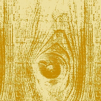 EPS 해외이미지 나무 디자인 외관 벽 가구 백그라운드 패턴 일러스트 자연 벽지 탁자 표면 추상 바닥 목재 장식 어둠 수확 소나무 판넬 거친 널 낟알 책상 질감 목공예 잡동사니 내추럴 그런지 수목 옛날 파케트 해외202004 해외일러스트 식물 생활용품 무늬 농업 재료 공예 생태계 파일형식 벡터 이미지허브