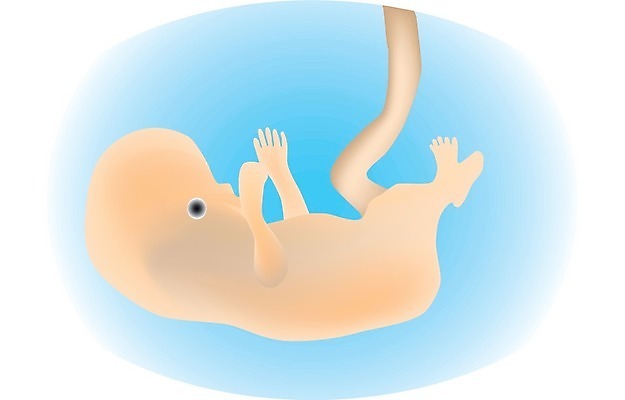 EPS 해외이미지 모델 여자 어린이 신체 일러스트 엄마 새로움 병원 창조 사랑 사람 약 침묵 소리 임산부 임신 기쁨 아기 신생아 출산 결과 작음 태아 돌봄 표현성 해외202004 해외일러스트 감정 컨셉 의학 가족 모션 크기 파일형식 벡터 관계 이미지허브