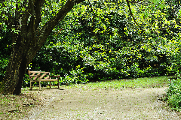 포토 JPG 해외이미지 나무 식물 공원 도로 길 가구 잎 벤치 의자 자연 휴식 앉기 풍경 잔디 사람없음 야외 목재 장식 초록색 여름 갈색 정원 침묵 봄 고독 오솔길 싱글 장면 내추럴 방법 혼자 해외202004 해외포토 계절 공공시설 감정 컬러 생활용품 컨셉 재료 교통시설 모션 소리 생태계 파일형식 이미지허브