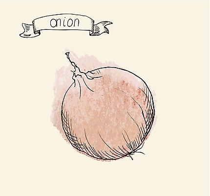 EPS 해외이미지 식물 잡화 음식 조각 백그라운드 다이어트 채소 일러스트 재료 전구 부분 자연 양파 수채화 건강 요리 식당 보라색 식사 페인트 샐러드 수확 껍질 흰색 신선 달콤 낙서 스케치 자르기 먹기 향신료 메뉴 그림 유기농 날것 뿌리 향료 내추럴 숙성 식용 채식주의자 샬롯 막 해외202004 해외일러스트 웰빙 컬러 농업 모션 미술 상점 맛 생태계 채식 향기 냄새 향미료 파일형식 벡터 이미지허브