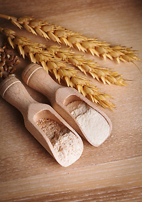 포토 JPG 해외이미지 디자인 계절 음식 백그라운드 농업 가방 재료 자연 건강 요리 씨앗 사람없음 목재 농작물 농장 갈색 노란색 식사 빵집 수확 가을 흰색 시골 신선 거친 황금 낟알 시리얼 밀 준비 유기농 귀 밀가루 성분 흙더미 내추럴 호밀 통밀 해외202004 해외포토 나무 식물 웰빙 잡화 산업 컬러 곡류 신체부위 상점 흙 가루 생태계 파일형식 더미 이미지허브