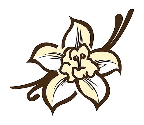 EPS 해외이미지 식물 디자인 꽃 음식 백그라운드 일러스트 재료 자연 디저트 건강 요리 벚꽃 흰색 달콤 맛 심볼 향수 향신료 오브젝트 사인 유기농 아로마 향 아로마테라피 내추럴 고립 바닐라 해외202004 해외일러스트 웰빙 컬러 컨셉 화장품 생태계 테라피 향미료 파일형식 벡터 이미지허브