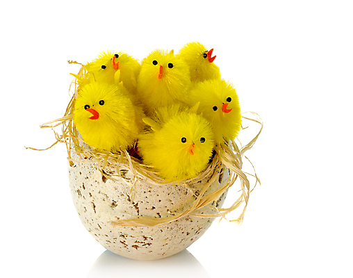 포토 JPG 해외이미지 오렌지 부활절 오리 함께함 병아리 사람없음 빨간색 노란색 계란 흰색 오픈 부리 밀짚 고립 해외202004 해외포토 기념일 컬러 컨셉 과일 조류 알 짚 파일형식 이미지허브