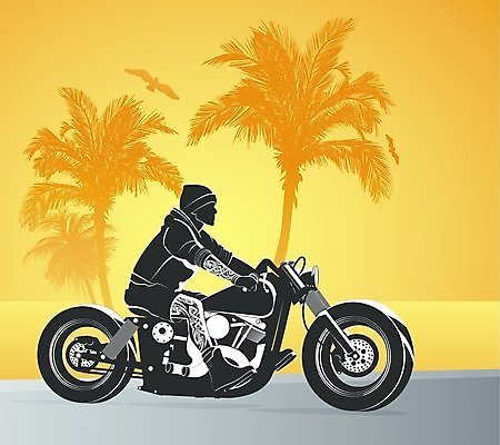 EPS 해외이미지 실루엣 스포츠 포즈 백그라운드 십자가 일러스트 교통시설 사람 운동 자전거 검은색 힘 경쟁 자유 스쿠터 오토바이 수확 승차 헬멧 위험 문신 속도 그림 순환 먼지 가스 엔진 비닐 모터 운동가 집회 프리스타일 해외202004 해외일러스트 컬러 교통 컨셉 농업 모션 재질 촬영기법 건강 바이크 보호장비 시설 파일형식 벡터 이미지허브