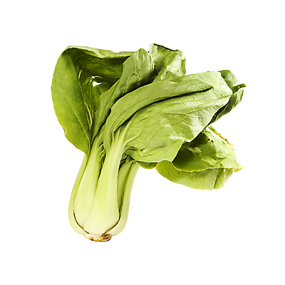 포토 JPG 해외이미지 음식 채소 자연 건강 사람없음 초록색 중국 신선 유기농 양배추 해외202004 해외포토 웰빙 아시아 컬러 생태계 파일형식 이미지허브