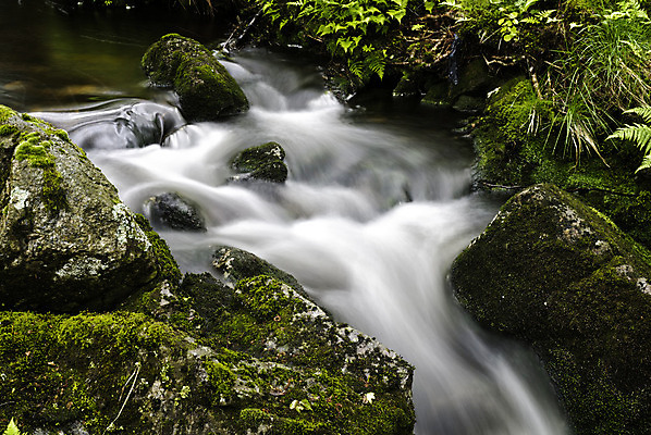 포토 JPG 해외이미지 유럽 자연 북유럽 노르웨이 풍경 사람없음 야외 물 개울 숲 삼림지대 스칸디나비아 해외202004 해외포토 자연요소 나라 강 생태계 파일형식 이미지허브