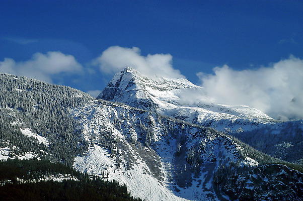 포토 JPG 해외이미지 나무 구름 여행 자연 산 풍경 사람없음 야외 하이킹 휘파람 가리발디 해외202004 해외포토 자연요소 식물 레저 생태계 위인 정치가 파일형식 이미지허브