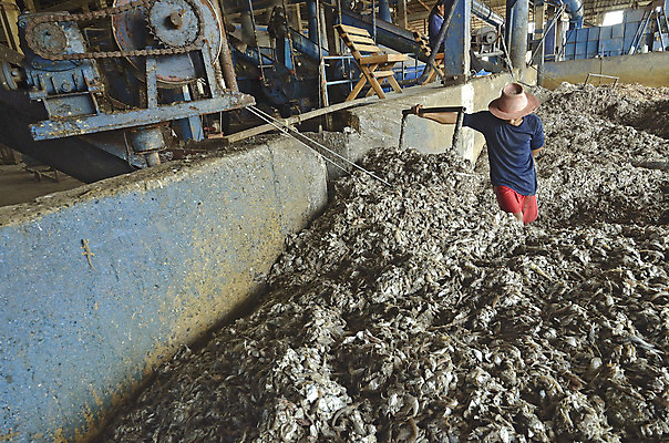 포토 JPG 해외이미지 동물 산업 음식 바다 장갑 오렌지 포장 낚시 건강 어류 사람없음 치료 상자 농장 권투 화물 신선 카세트테이프 시장 보호 주식 지중해 계산대 가득함 도미 팩 패키지 수납 방법 밭일 오메가 위생관리 제어 많음 해외202004 해외포토 잡화 컨셉 농업 과일 의학 레저 관리 금융 수중동물 화장품 격투기 운송업 파일형식 이미지허브