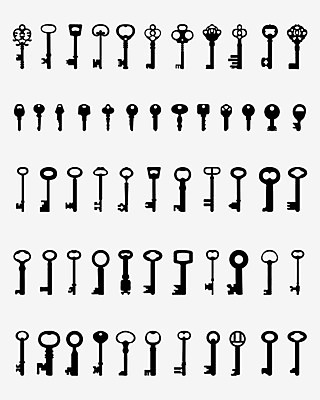 EPS 해외이미지 모양 디자인 실루엣 일러스트 가정 열쇠 주택 골격 안전 세트 문 금속 수확 오픈 클래식 닫기 보호 수집 잠금 보안 대문 해결 사생활 엘리먼트 철강 해외202004 해외일러스트 컨셉 농업 모션 재질 촬영기법 건물 파일형식 벡터 이미지허브