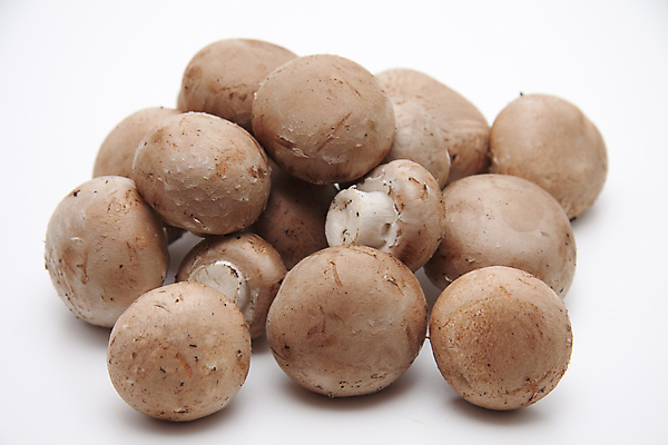 포토 JPG 해외이미지 음식 채소 사람없음 갈색 식사 버섯 수확 껍질 신선 맛 먹기 피부 흰배경 날것 해외202004 해외포토 컬러 백그라운드 컨셉 농업 모션 신체부위 흰색 파일형식 이미지허브